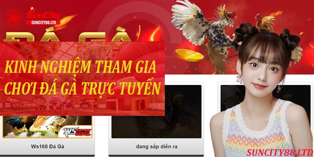 Kinh nghiệm tham gia chơi đá gà trực tuyến